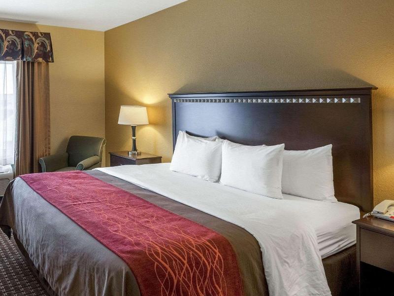 Comfort Inn & Suites Regional Medical Center image