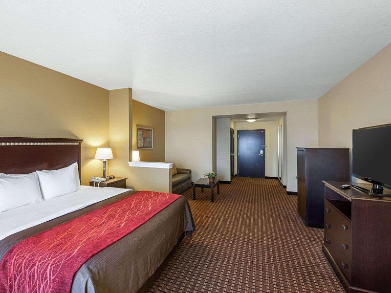 Comfort Inn & Suites Regional Medical Center image