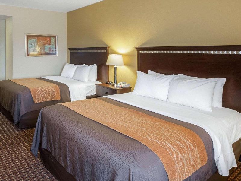 Comfort Inn & Suites Regional Medical Center image
