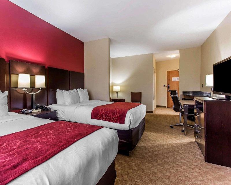 Hotel Comfort Suites South Atlanta Area