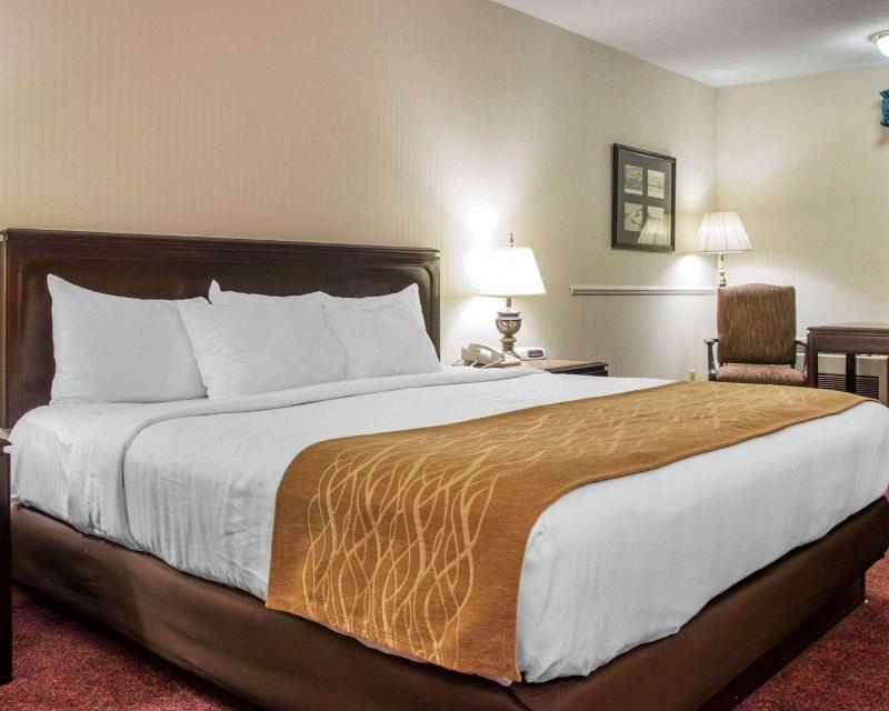Comfort Inn Lakeside image