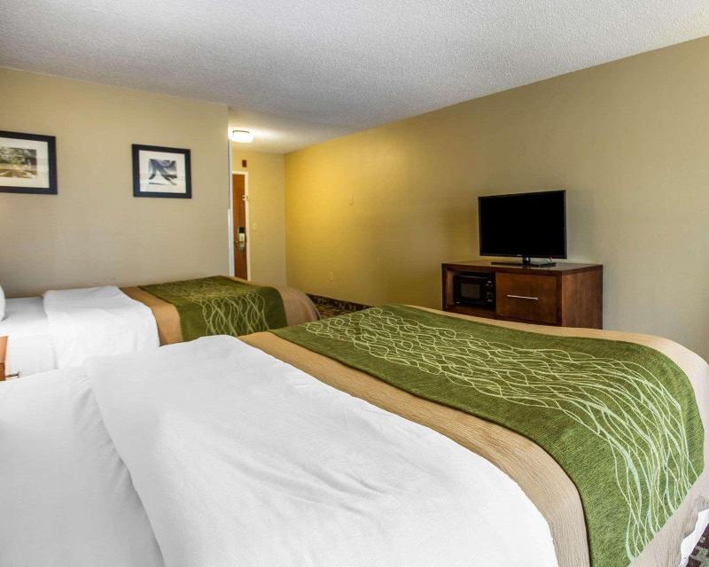 Hotel Comfort Inn & Suites Walterboro I-95