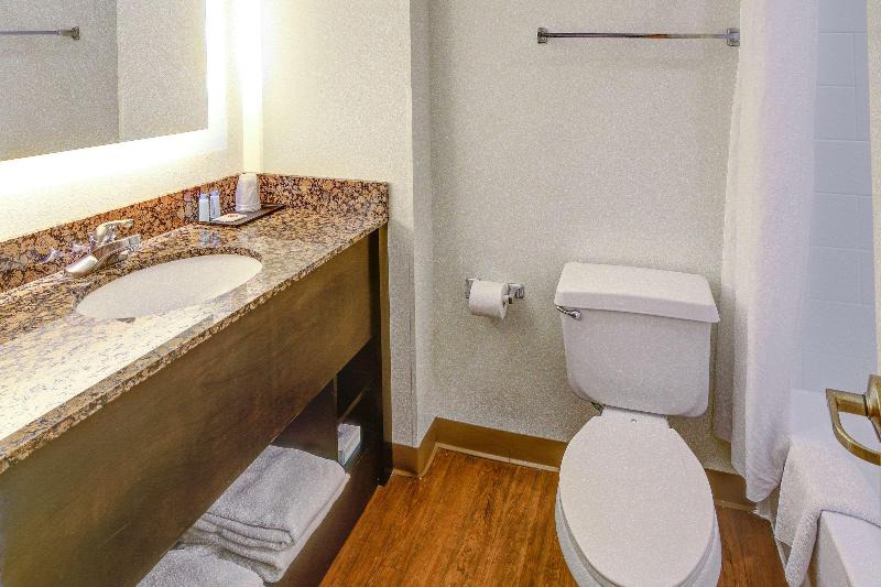 SUITE QUEEN BED NON SMOKING — photo 22