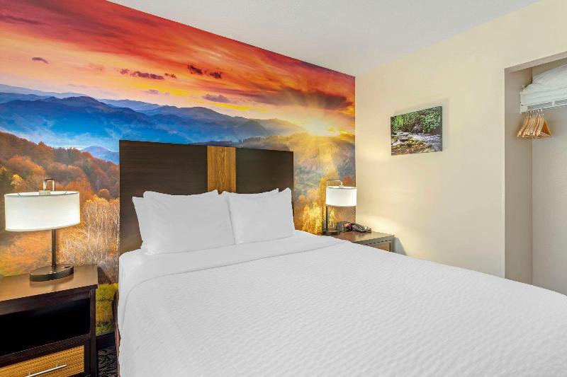 SUITE QUEEN BED NON SMOKING — photo 13