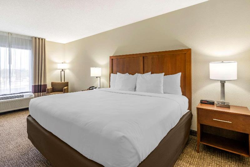 Comfort Inn & Suites Clearwater Pinellas Park image