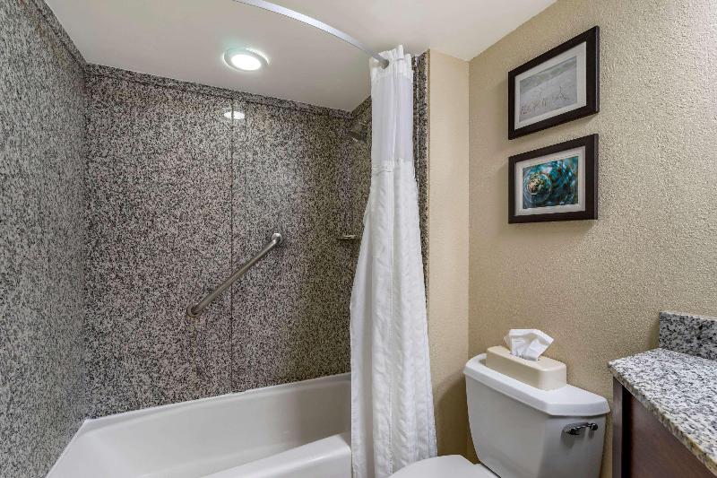 Comfort Inn & Suites Clearwater Pinellas Park image