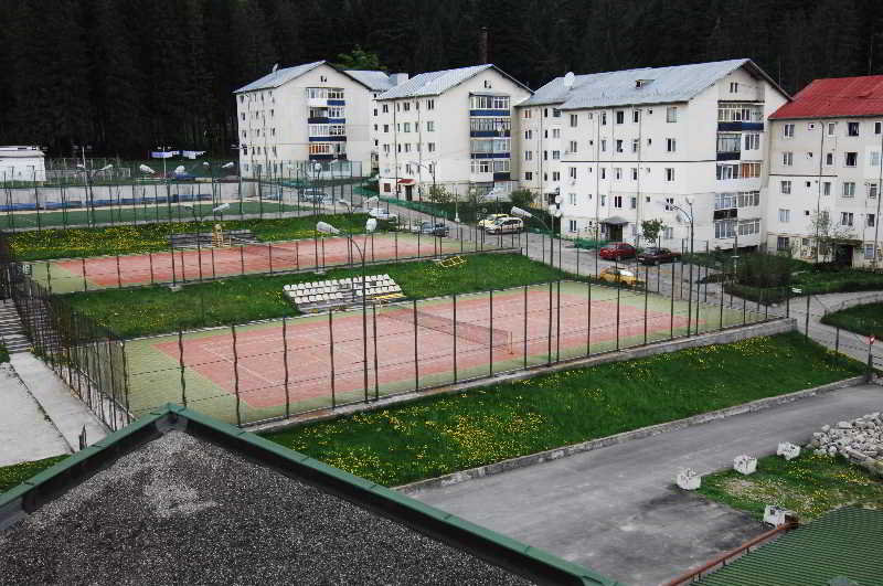 Silva Busteni image