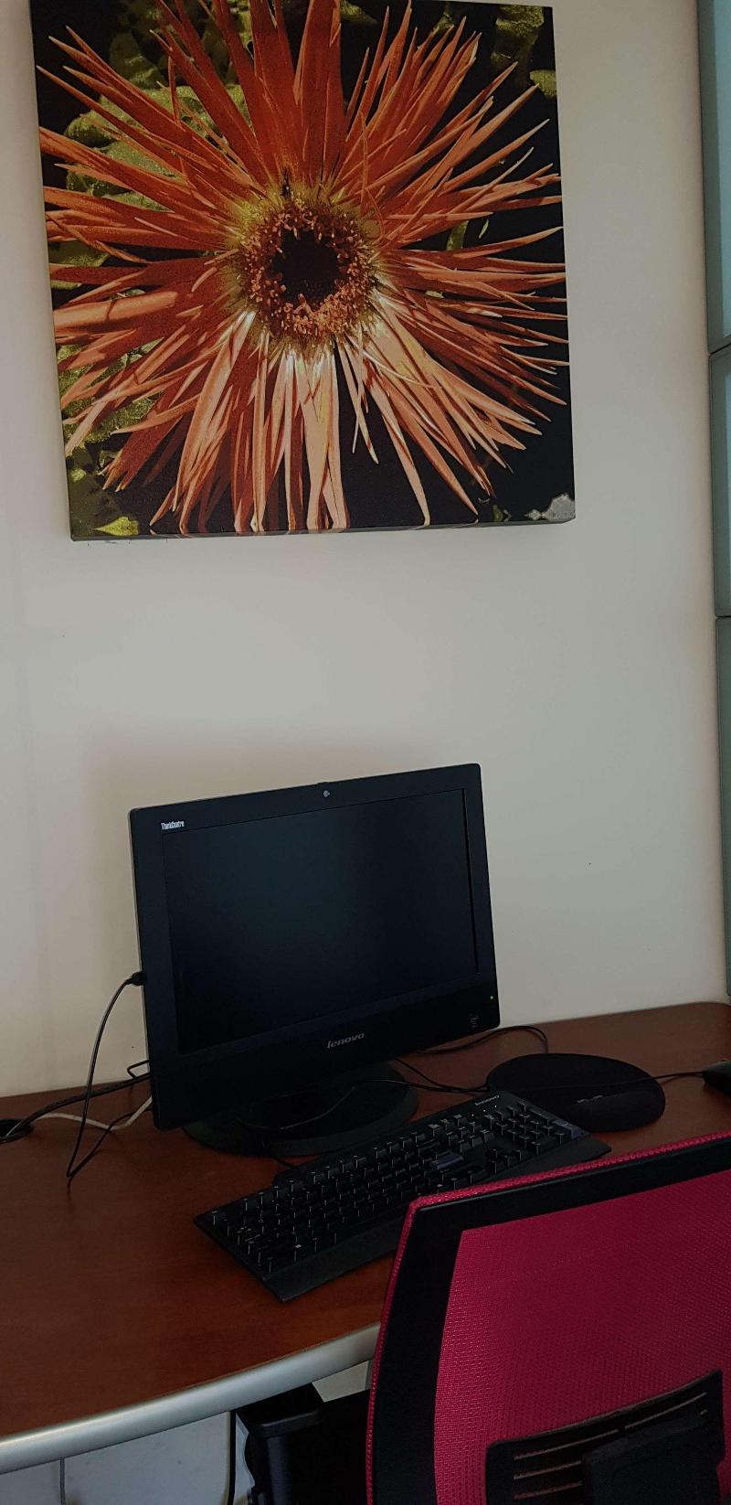 Stay in style at Radisson Aquatica Resort Barbados