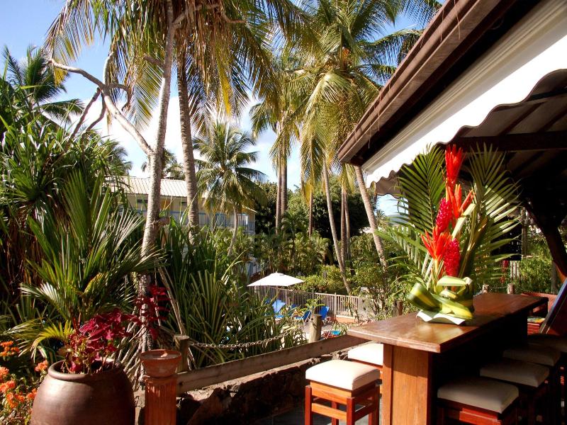 Carayou Hotel & Spa image
