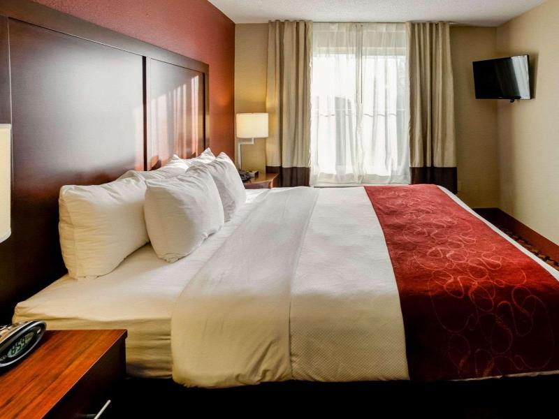 Charlotte Suites by IHG image