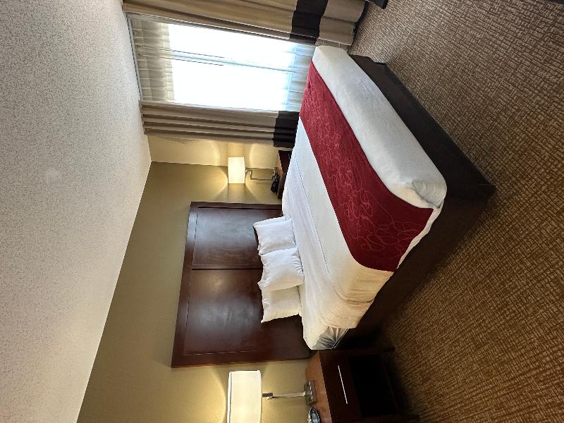 Charlotte Suites by IHG image