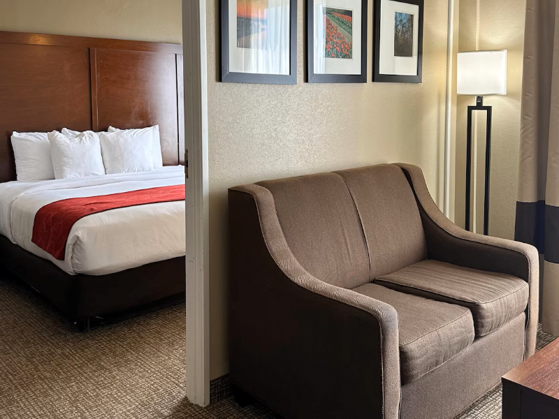 Charlotte Suites by IHG image