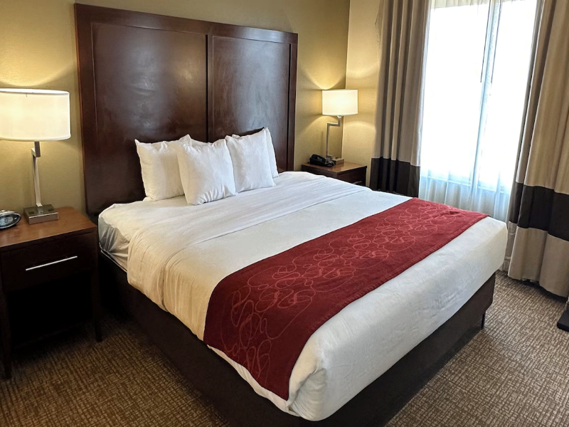Charlotte Suites by IHG image