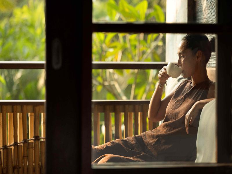 Alaya Resort Ubud image