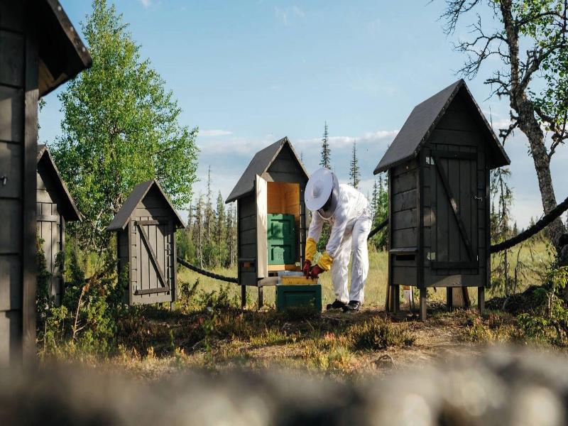 Lapland Hotel Pallas