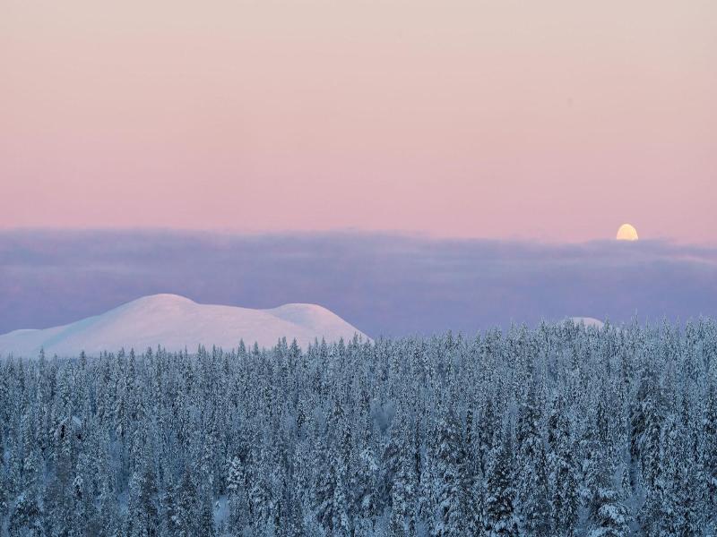 Lapland Hotel Pallas