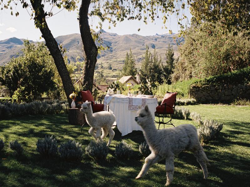 Las Casitas, A Belmond Hotel, Colca Canyon