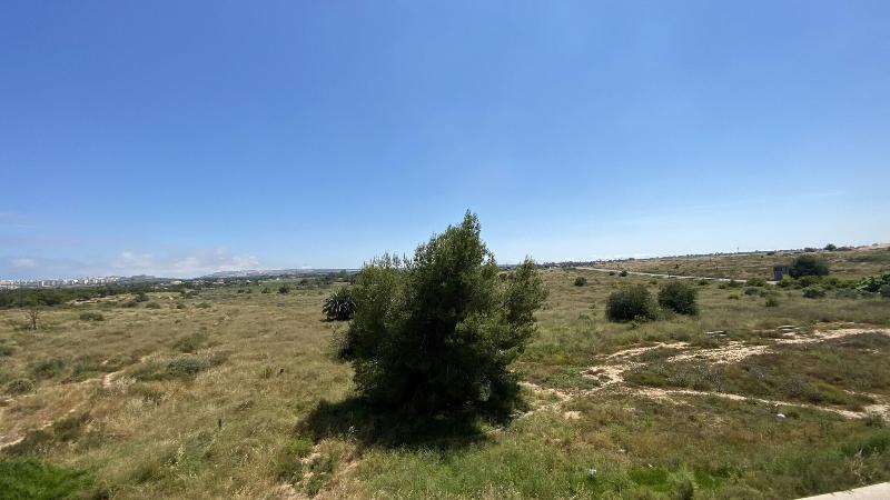 Hostal Pensimar image