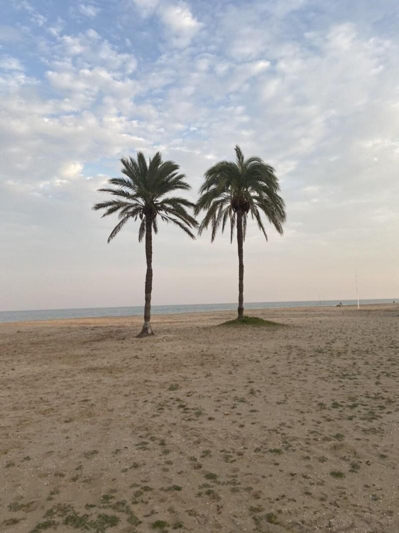 Hostal Pensimar image
