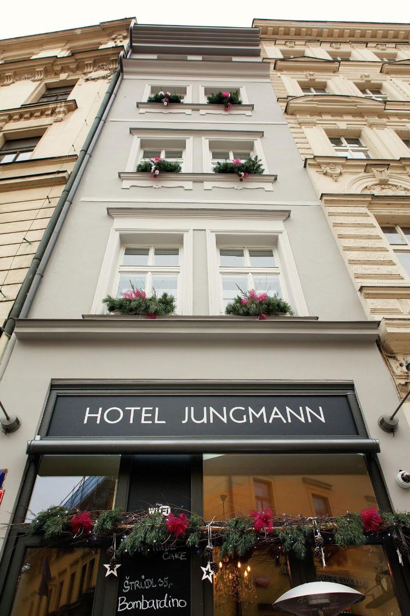 Jungmann image