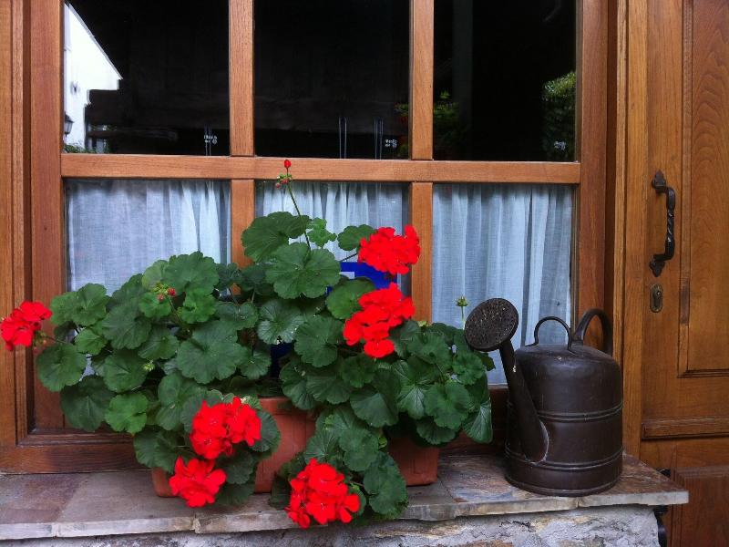 Casa Mario image