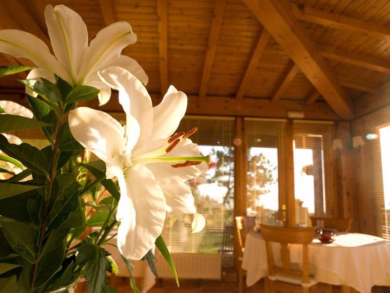 Casa Camila image