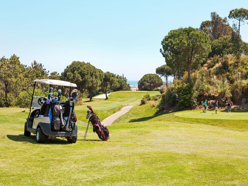 Ama Islantilla Resort image