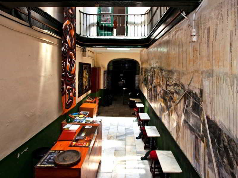 Alamos 14