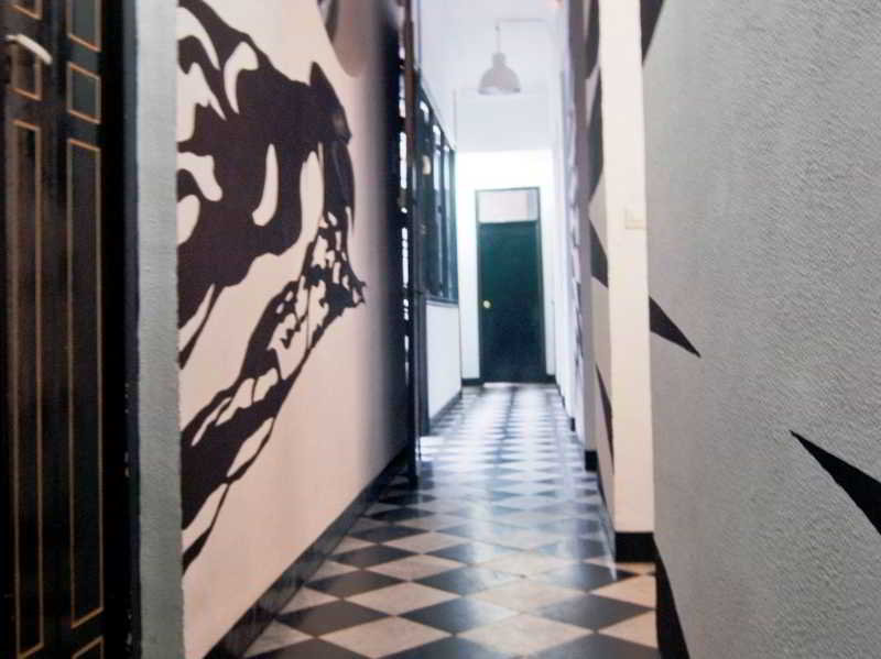 Alamos 14