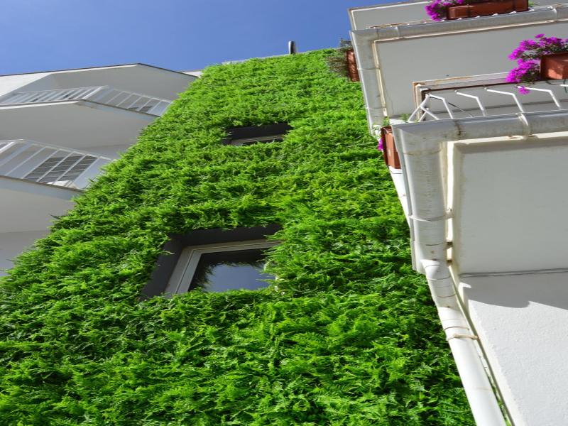 Hostal Mar Del Plata image