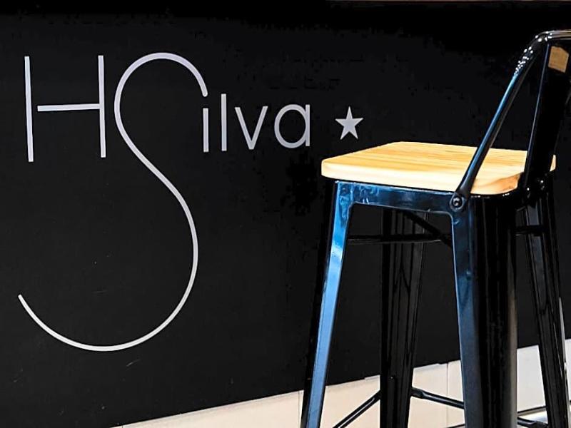 Hotel Silva image
