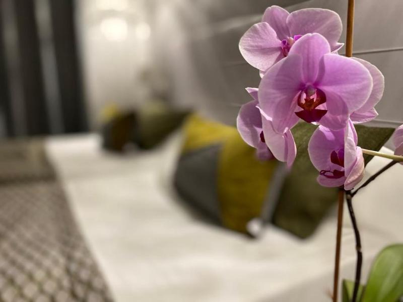 Brit Hotel Acacias image
