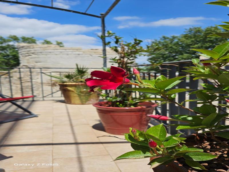 Brit Hotel Acacias image