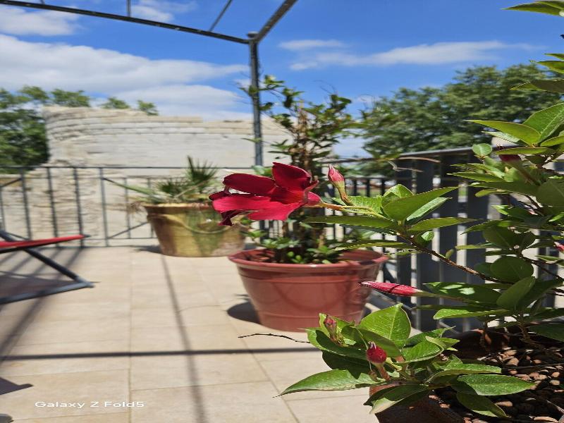 Brit Hotel Acacias image