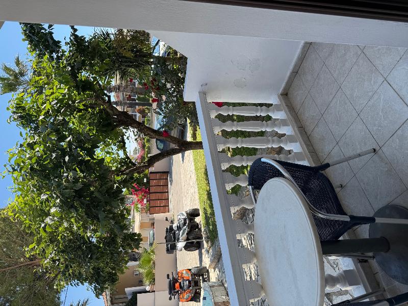 Paradise Apartments image