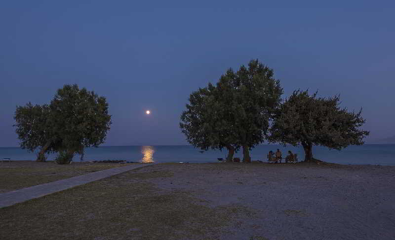 Olympia Mare image
