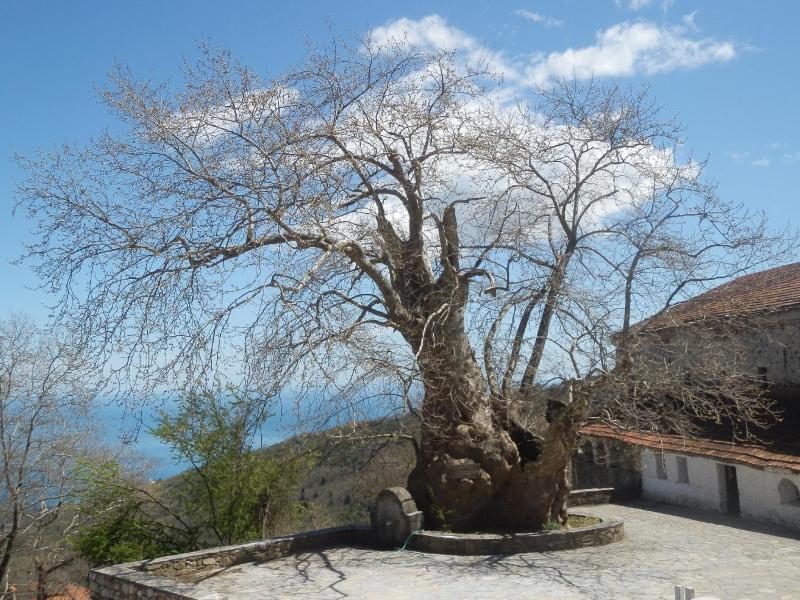 Sintrivanis Mountain image