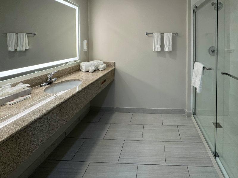 Comfort Inn & Suites Syracuse-Carrier Circle — photo 27