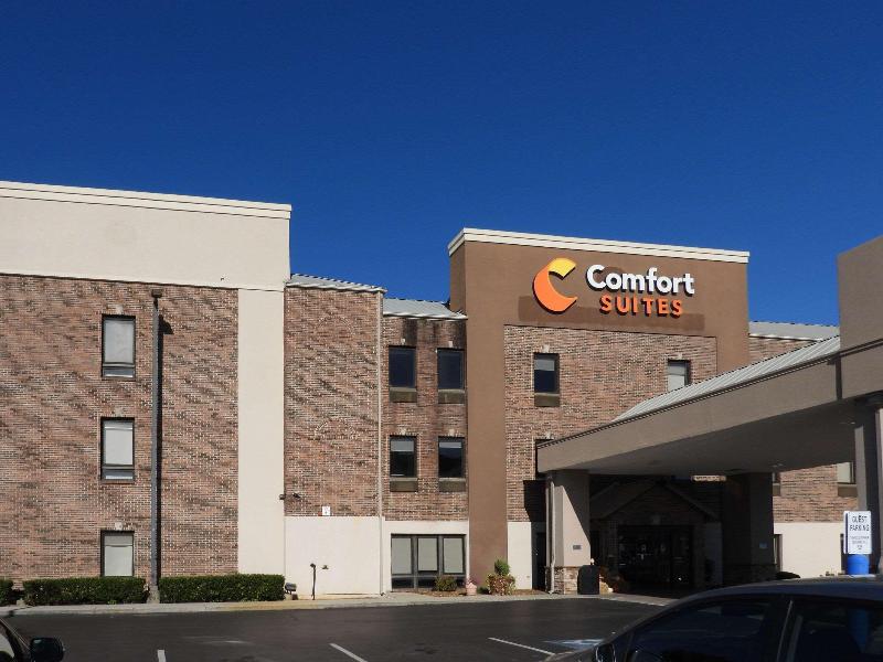 Comfort Suites North image