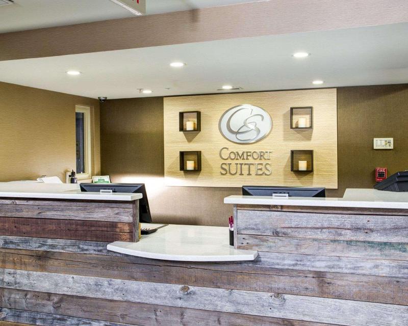 Comfort Suites North image