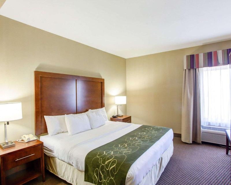Comfort Suites North image