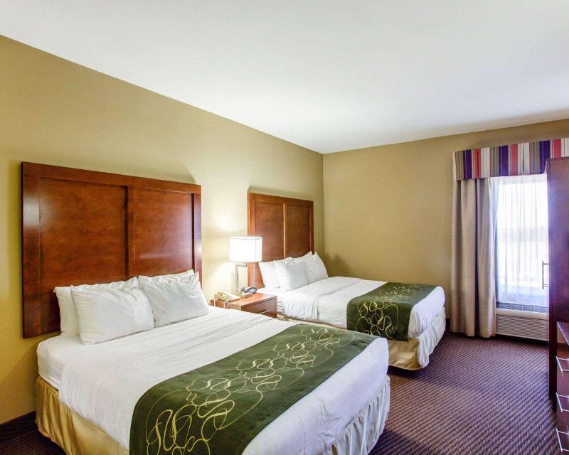 Comfort Suites North image