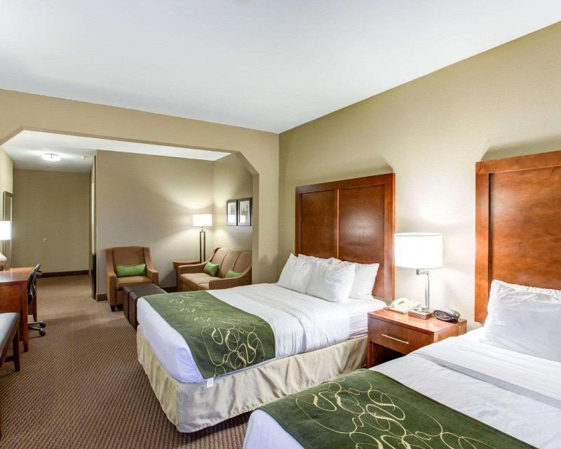 Comfort Suites North image