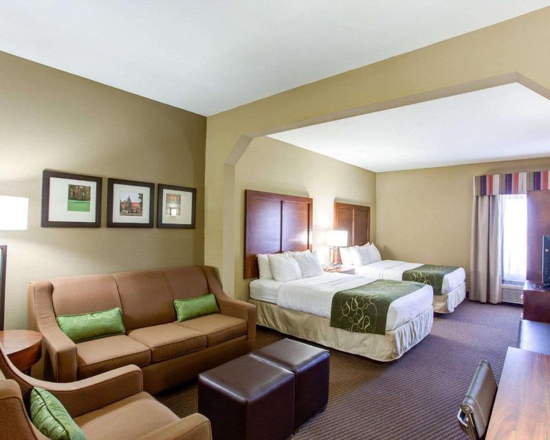 Comfort Suites North image