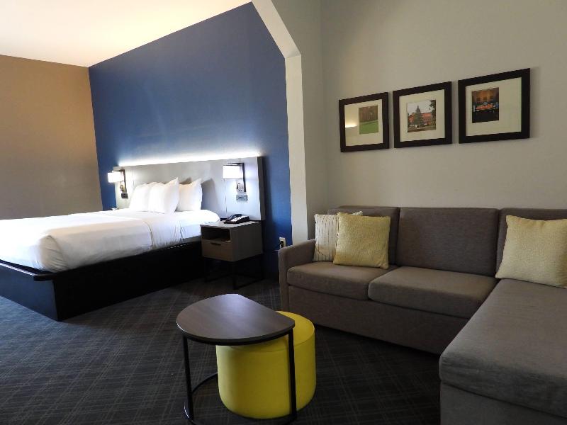 Comfort Suites North image