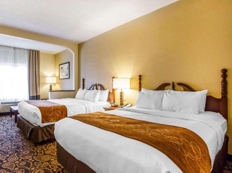 Comfort Suites Mobile East Bay image