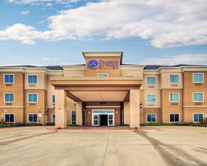 Hotel Comfort Suites Fort Worth South