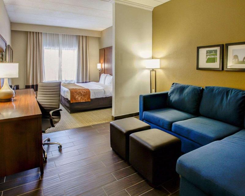 Hotel Comfort Suites Georgetown Area
