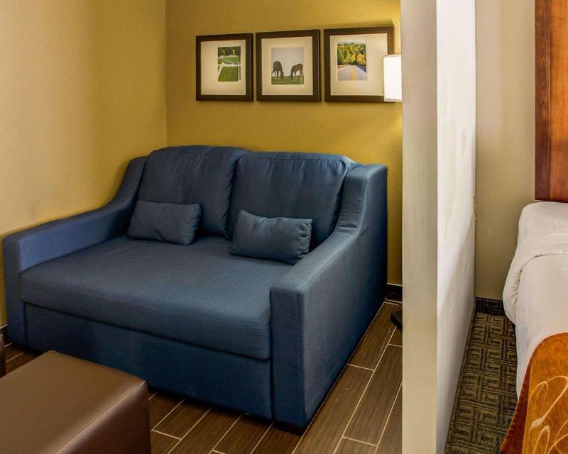 Comfort Suites Georgetown Area image