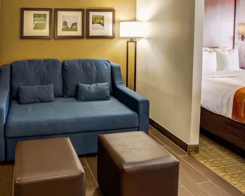 Comfort Suites Georgetown Area image